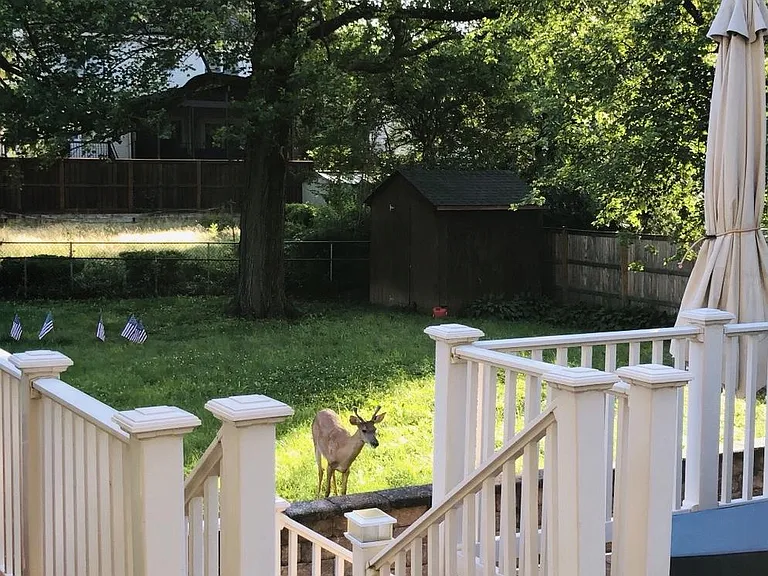 2138 Patrick Henry Dr — Photo 39