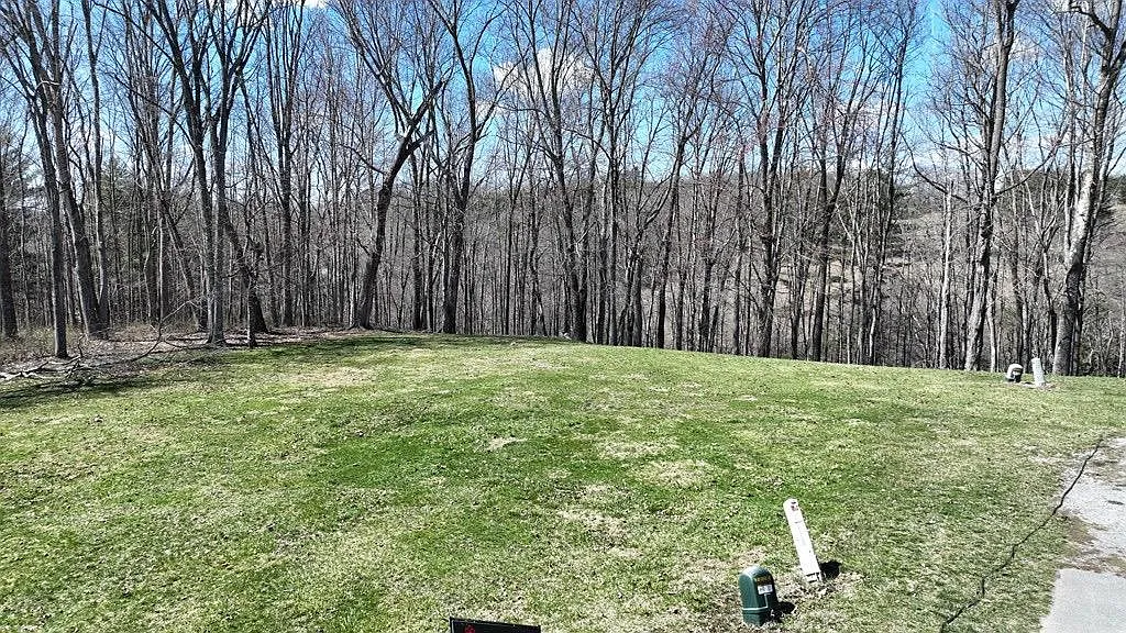 19 Diane Ln photo 1