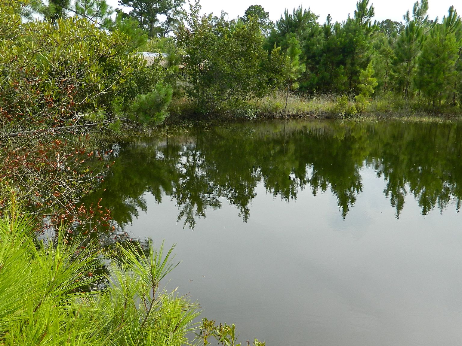 13408 Grover Rd, Jacksonville, FL 32226 Zillow