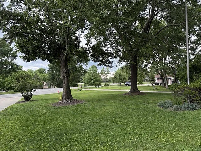 View of front lawn