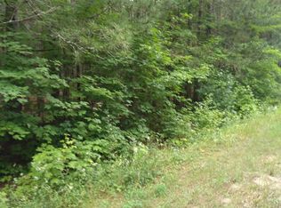 175 & 176 Snowridge Dr, Elmira, MI 49730