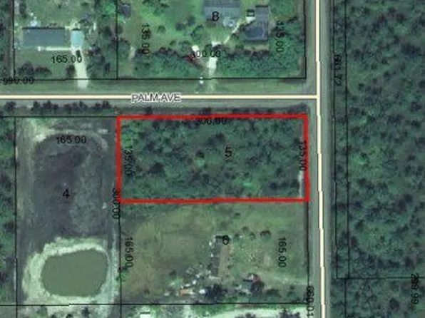 2820 Lancewood St, Bunnell, FL 32110