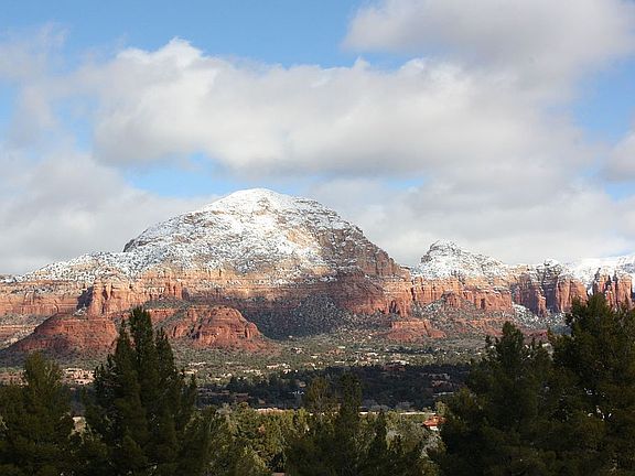 Winter view snow at 5000'