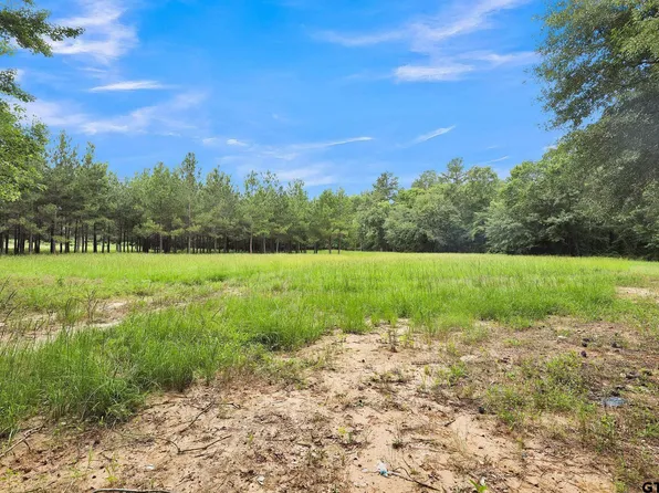 10180 County Road 272, Tyler, TX 75707