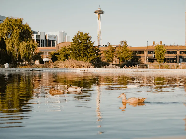 Dexter Lake Union — Photo 45