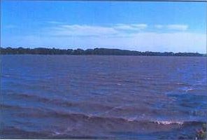 1st image of 31133 297th St