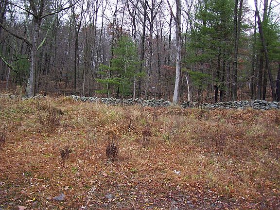4th image of 0 Milford Estate Dr #1