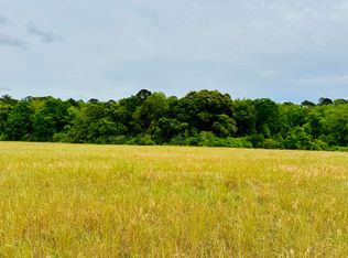 19 Acres Hwy #55, Andalusia, AL 36420