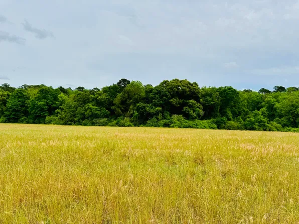 19 Acres Hwy #55, Andalusia, AL 36420