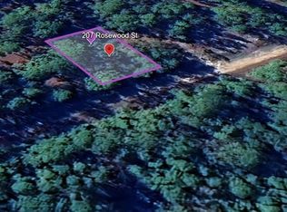 207 Rosewood St LOT 14, Georgetown, FL 32139