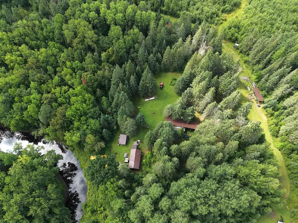 4047 Town Rd #100, Loman, MN 56654