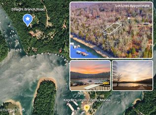 Straight Branch Rd, Speedwell, TN 37870