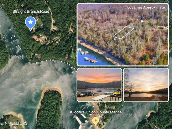 Straight Branch Rd, Speedwell, TN 37870