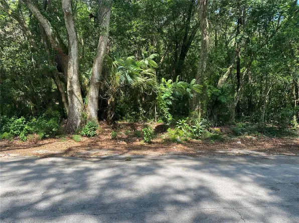 6088 Terrell Rd #54, Mount Dora, FL 32757