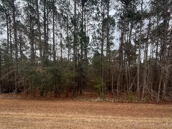 LOT 80 Banning Way, Tallahassee, FL 32309