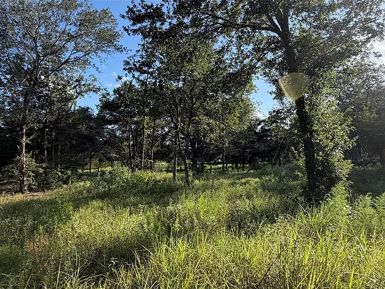 26011 Bernard Rd — Photo 19