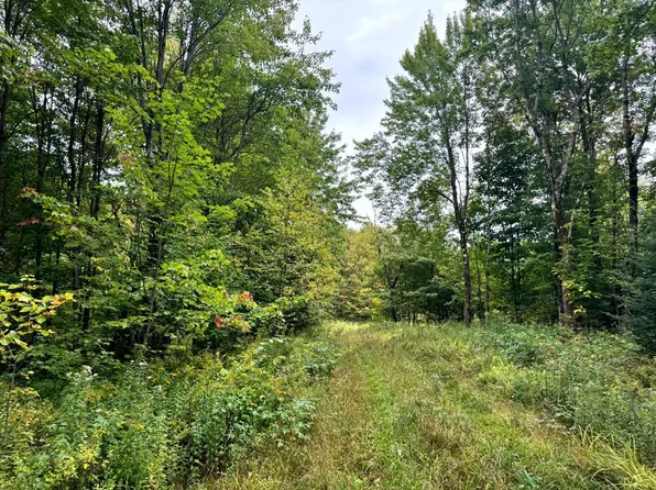 1.7 Mackay Rd #7, Constableville, NY 13325