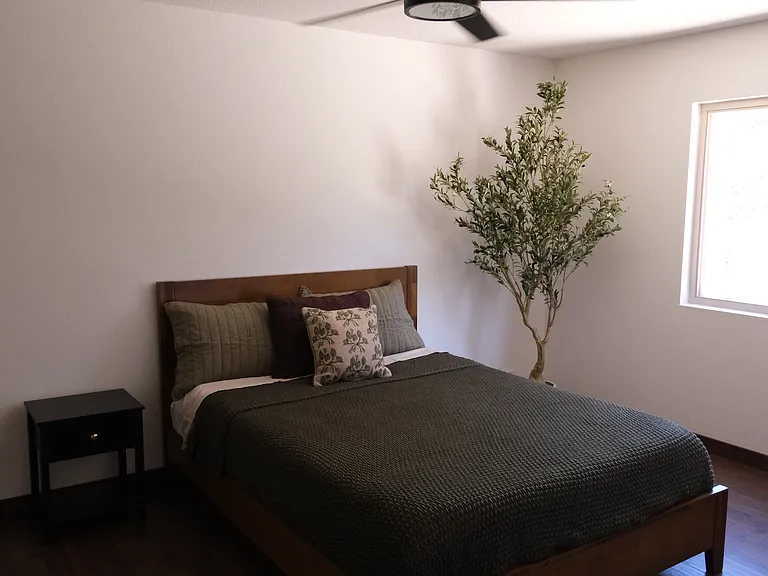 30023 White Wake Dr — Photo 18