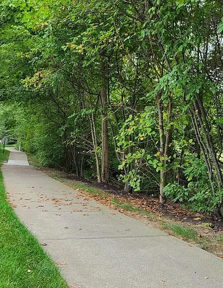 A neighborhood trail provides a relaxing outing for you and your pet.