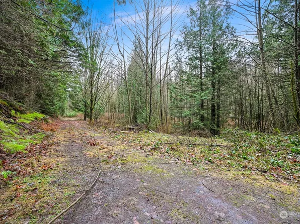 0 S Pass Road, Sumas, WA 98295