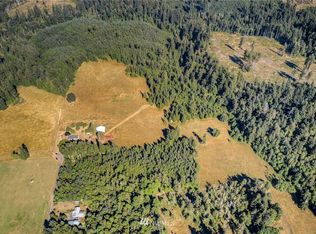 0 Davis Rd SW, Rochester, WA 98579