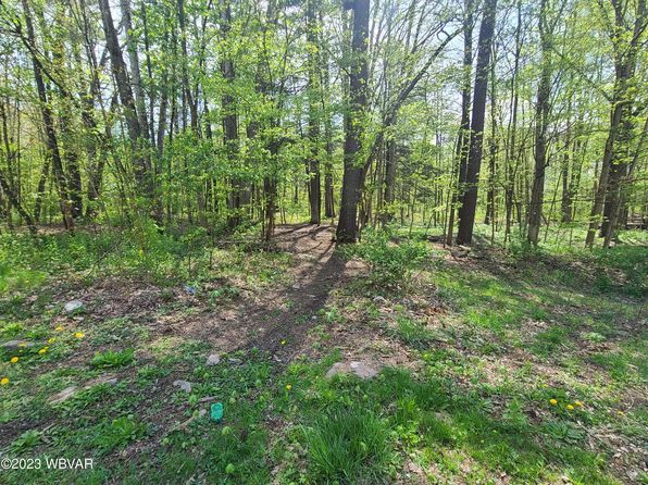125 Dry Run Rd, Lamar, PA 16848