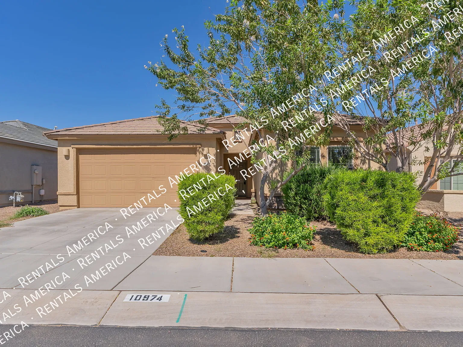 Beautiful 4 bedroom home in Gladden Farms! — Photo 2