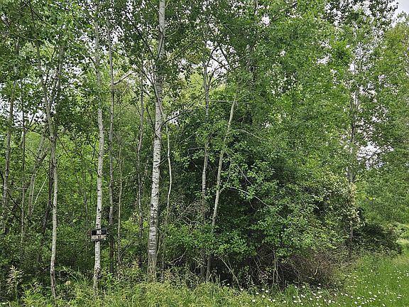 3rd image of LOT 651 Sarsi Cv