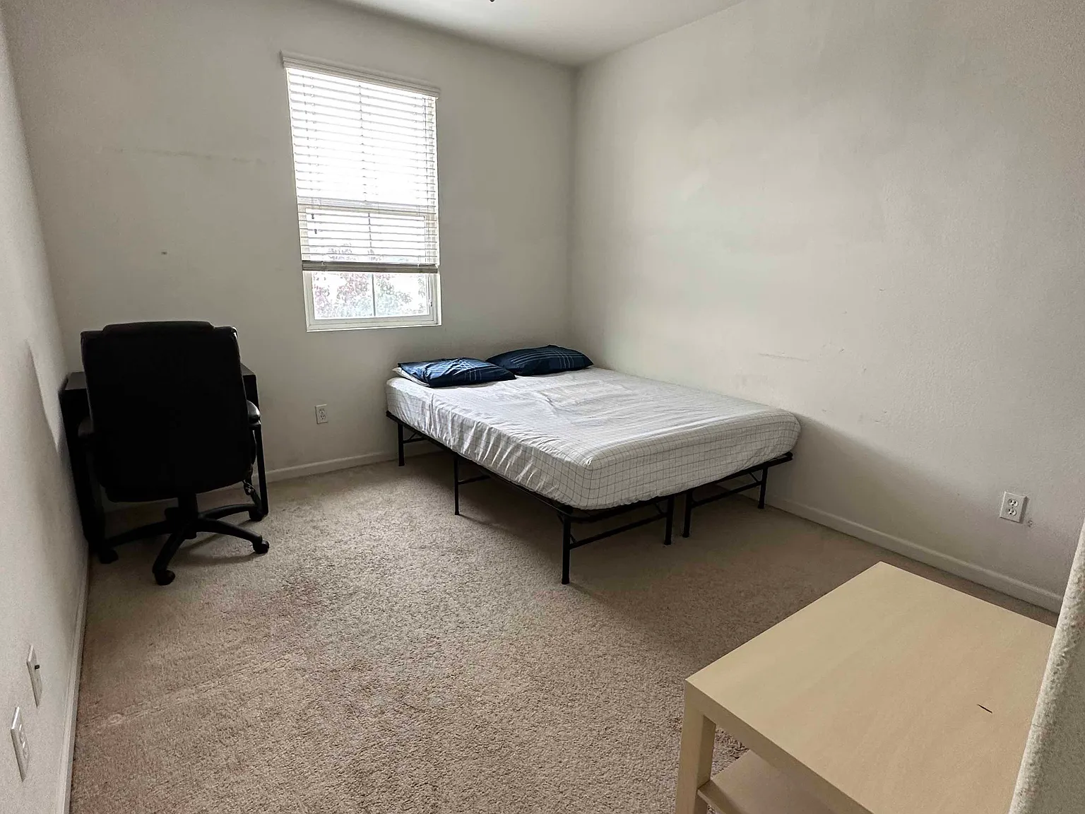1 bed, $1,695 — Photo 2