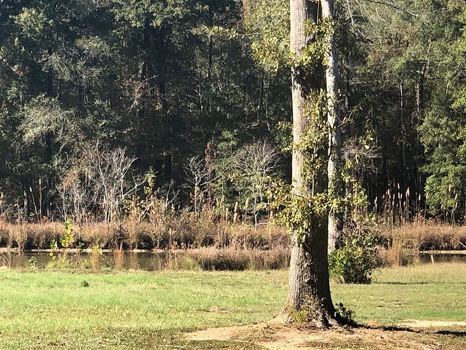 2nd image of 163 Lagoon Drive