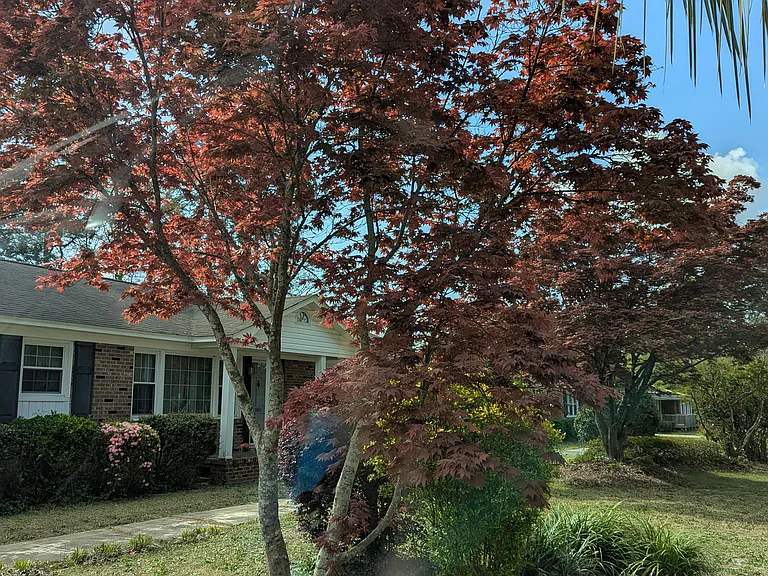 E Sandhurst Dr — Photo 8