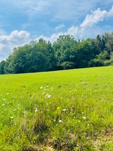 TRACT Meadowstone Way #3, Corbin, KY, 40701