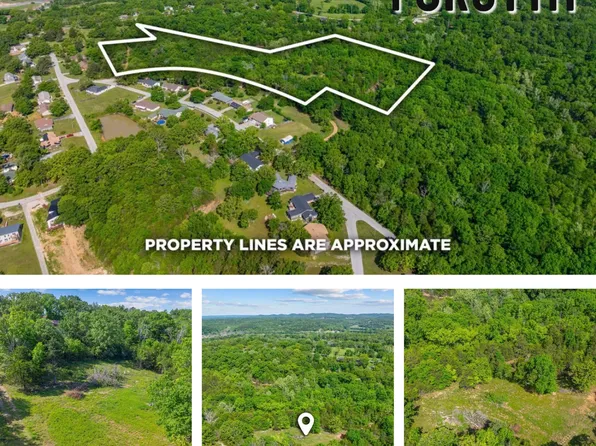 000 Tbd Arroyo Street, Forsyth, MO 65653