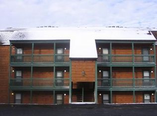 51 Ridgewood St, Snowshoe, WV 26209