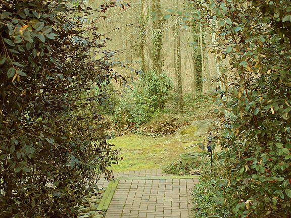 Walkway to Backyard