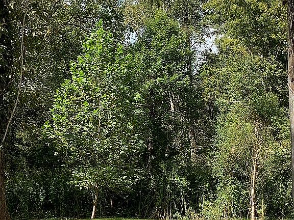3rd image of 2860 Atchafalaya River Hwy