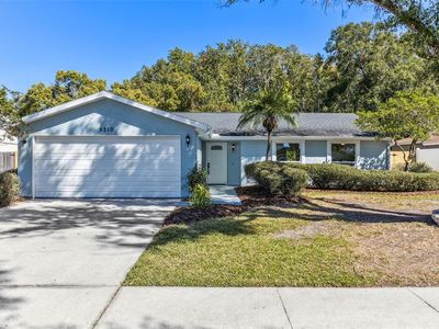5310 Black Pine Dr, Tampa, FL, 33624