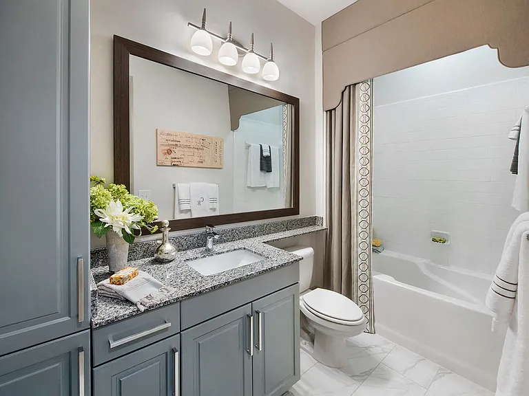 Spa-inspired bathrooms with garden tubs and stand-up showers