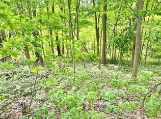 Gayer Rd, Valley City, OH 44280