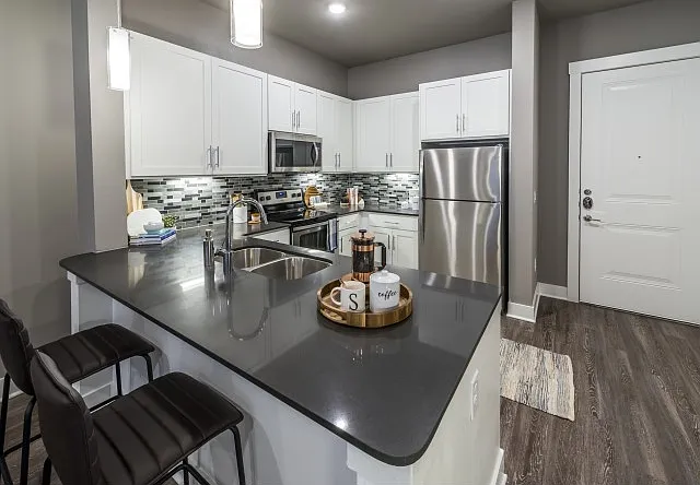Large Gourmet Kitchen