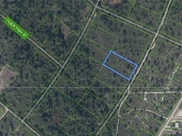 720 Dolphin Ave, Lake Placid, FL 33852