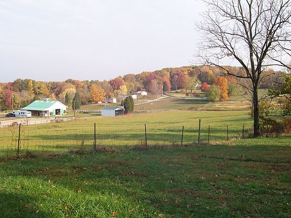 Adjacent cattle/horse farms