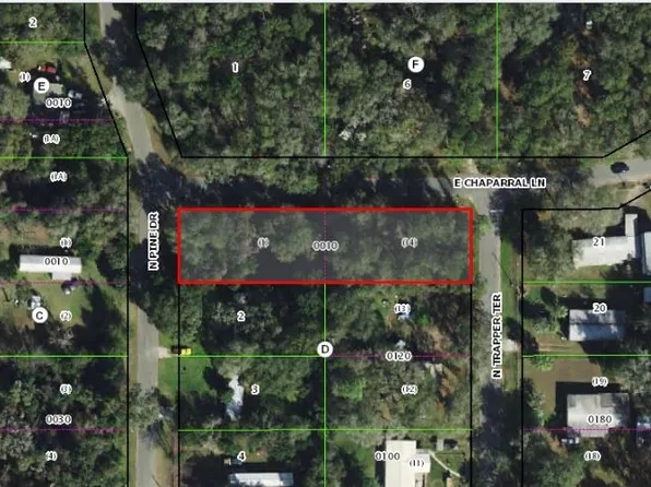 4311 N Pine Dr, Hernando, FL 34442