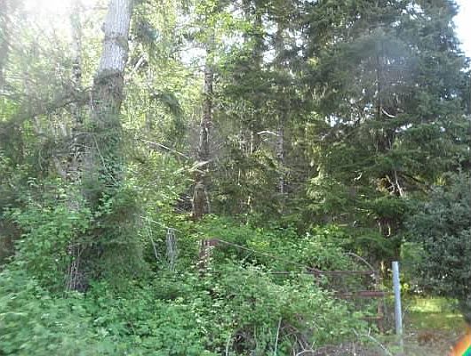 2nd image of 32 W Wishkah Rd