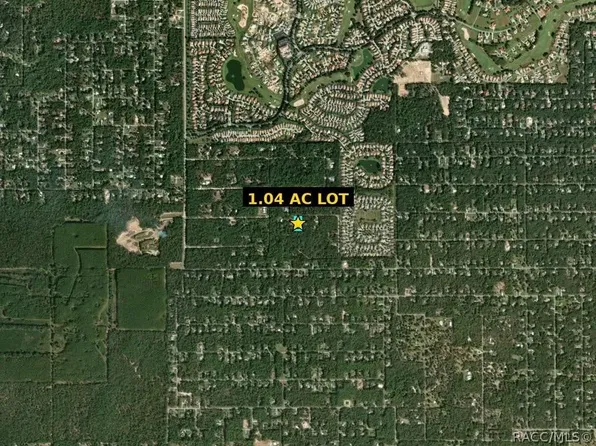 1434 W Milan Ln, Hernando, FL 34442
