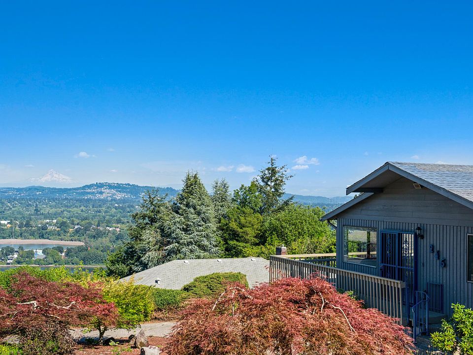 Mt Hood View