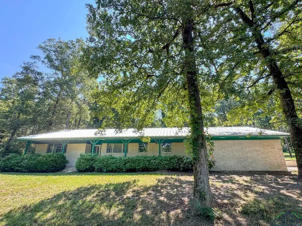 140 Ma County Rd #3312, Bivins, TX 75555