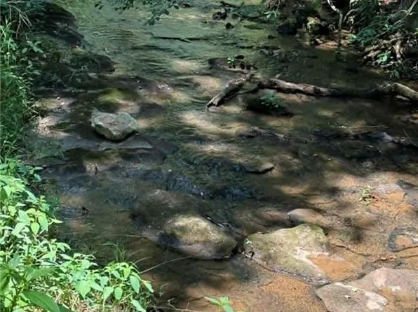 2633 Sprouse Rd, Boonville, NC 27011