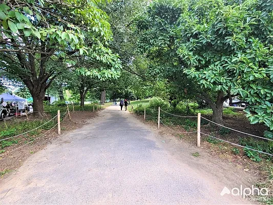 Rented by Alpha Properties NYC I LLC | media 1