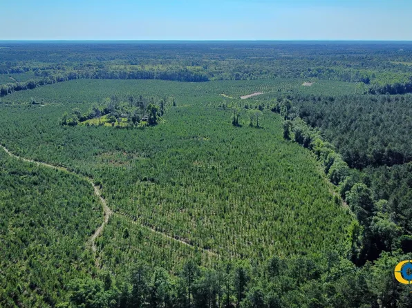 0 Marvis Chapman Rd, Ideal, GA 31041